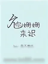 《允你姗姗来迟》小说封面
