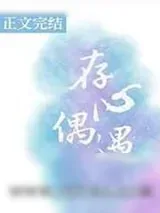 《存心偶遇》小说封面
