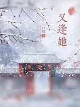 《又逢她》小说封面