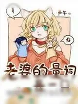 《老婆的量词是一只》小说封面