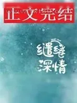 《缱绻深情[娱乐圈]》小说封面
