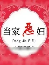 《当家恶妇》小说封面