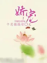《娇宠》小说封面