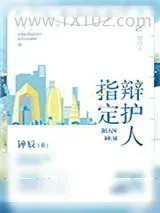 《指定辩护人》小说封面