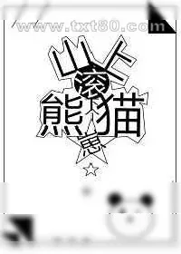 《山上滚下个熊猫崽》小说封面