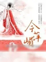 《今萍嵋》小说封面