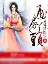 《从外科医生到通房丫头》小说封面