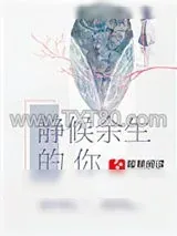 《静候余生的你》小说封面