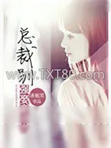 《总裁，别强娶豪夺》小说封面