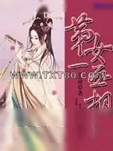 《第一女丞相》小说封面