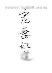 《宠妻证道》小说封面