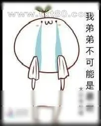 《我弟弟不可能是暴君》小说封面