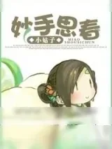 《妙手思春》小说封面