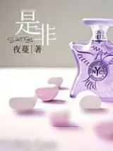 《妻奴进化记》小说封面