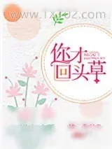 《你才回头草》小说封面