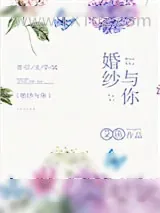 《婚纱与你》小说封面