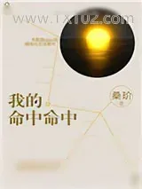 《我的命中命中》小说封面