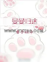 《曼曼归途》小说封面