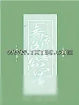 《无污染、无公害》小说封面