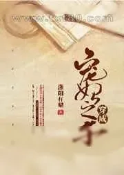 《穿成宠妃之子》小说封面