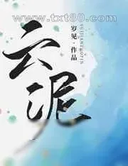 《云泥》小说封面