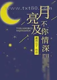 《月亮不及你情深》小说封面