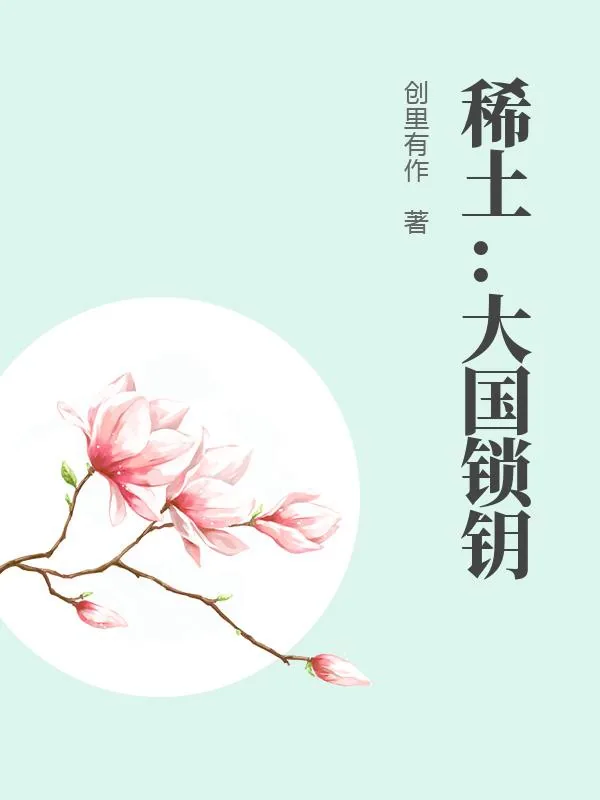 《稀土:大国锁钥》小说封面
