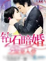 《钻石暗婚之温宠入骨》小说封面