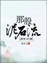 《[清穿+红楼]那股泥石流》小说封面