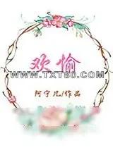 《欢愉》小说封面