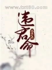 《违君命》小说封面
