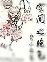 《空间之绝色》小说封面