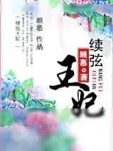 《续弦王妃》小说封面