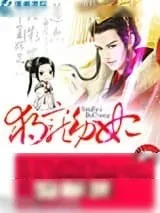 《独宠萌妃》小说封面