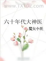 《六十年代大神医》小说封面