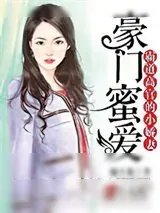 《豪门蜜爱：霸道高官的小娇妻》小说封面
