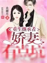 《重生继承者：娇妻有点坑》小说封面