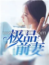 《极品前妻》小说封面