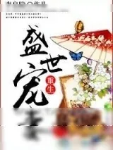 《重生盛世宠妻》小说封面