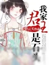 《我家君王是石头》小说封面