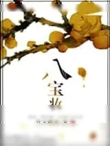 《八宝妆》小说封面