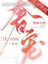 《奢宠》小说封面