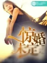 《惊婚未定》小说封面