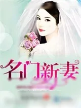 《名门新妻》小说封面