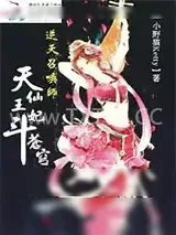 《逆天召唤师：天仙王妃斗苍穹》小说封面