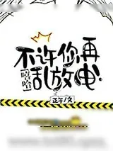 《不许你再乱放电！[娱乐圈]》小说封面