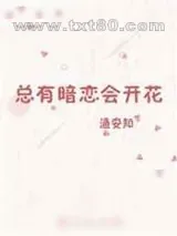 《总有暗恋会开花》小说封面