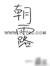 《朝露》小说封面