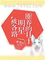 《被各路明星圈养的日子》小说封面