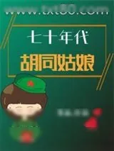 《七十年代胡同姑娘》小说封面